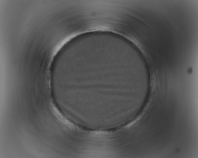 X0000116771118201001071210