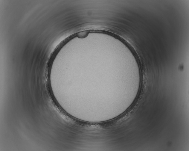 X0000116771119201001071210