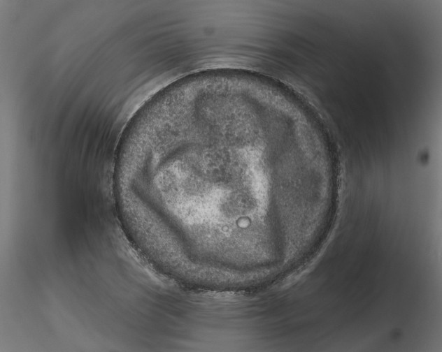 X0000116771121201001071210