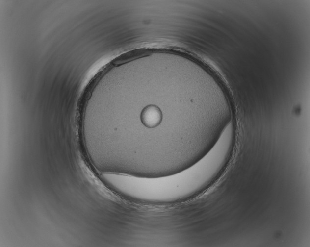 X0000116771122201001071210