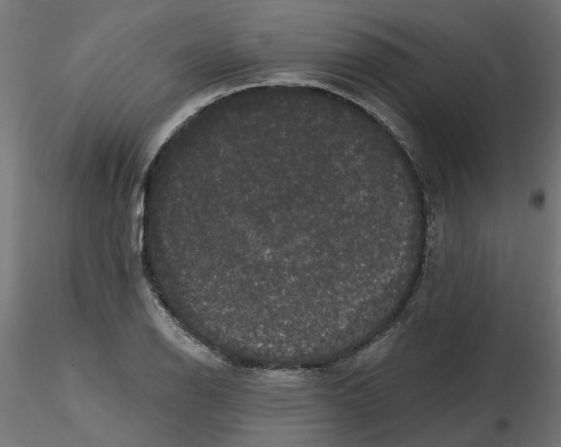 X0000116771126201001071210