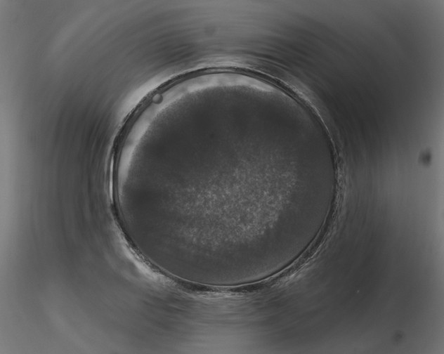 X0000116771127201001071210