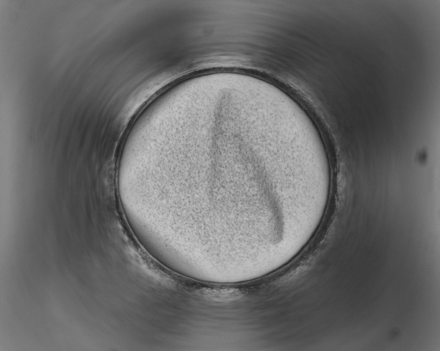 X0000116771129201001071210