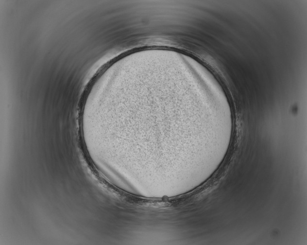 X0000116771133201001071210