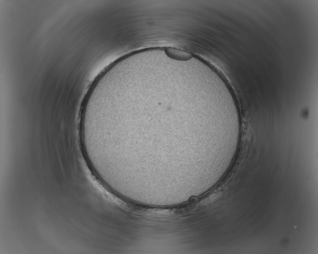 X0000116771135201001071210