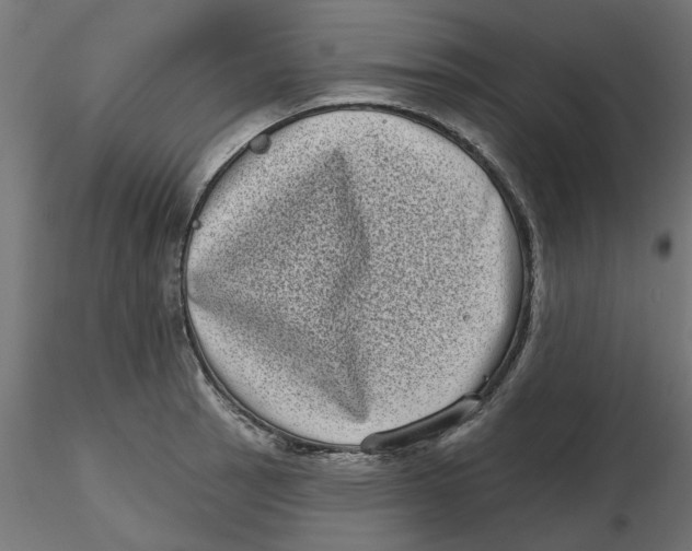 X0000116771137201001071211