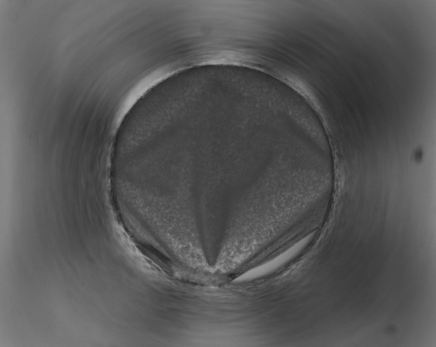 X0000116771138201001071211