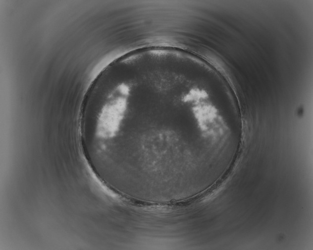 X0000116771141201001071211