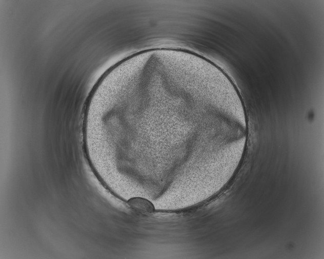 X0000116771142201001071211