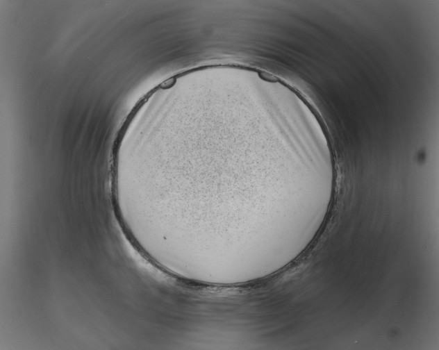 X0000116771143201001071211