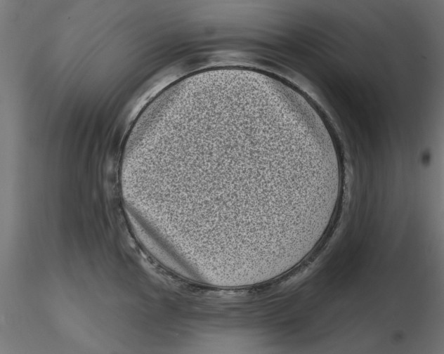 X0000116771145201001071211