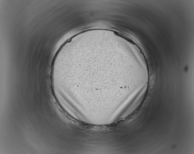 X0000116771146201001071211