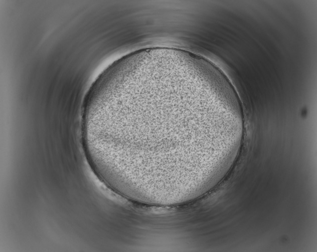 X0000116771147201001071211