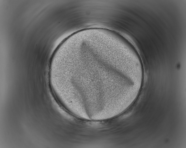 X0000116771149201001071211