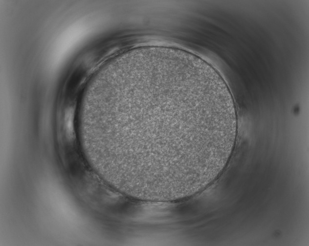 X0000116771150201001071211