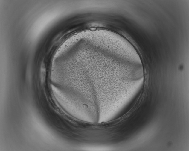 X0000116771151201001071211