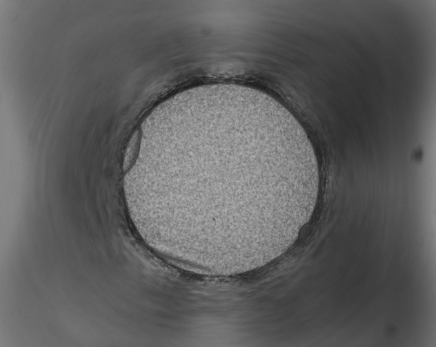 X0000116771153201001071210