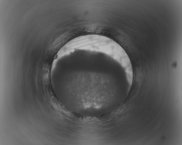 X0000116771154201001071210