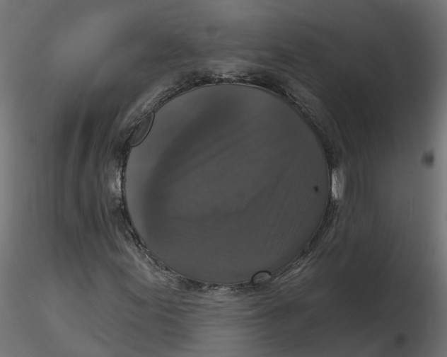 X0000116771155201001071210