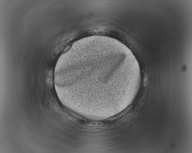 X0000116771156201001071210