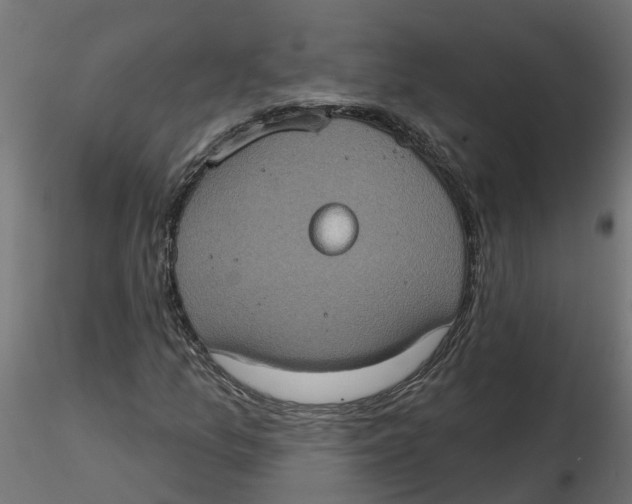 X0000116771157201001071210