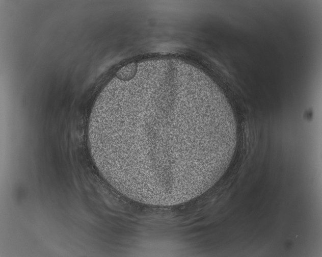 X0000116771158201001071210