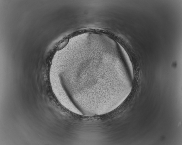 X0000116771159201001071210