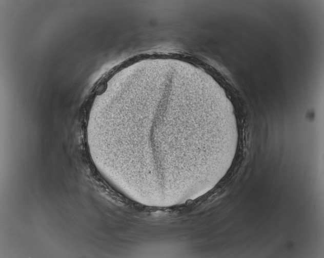 X0000116771160201001071210