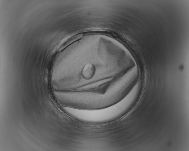 X0000116771161201001071210