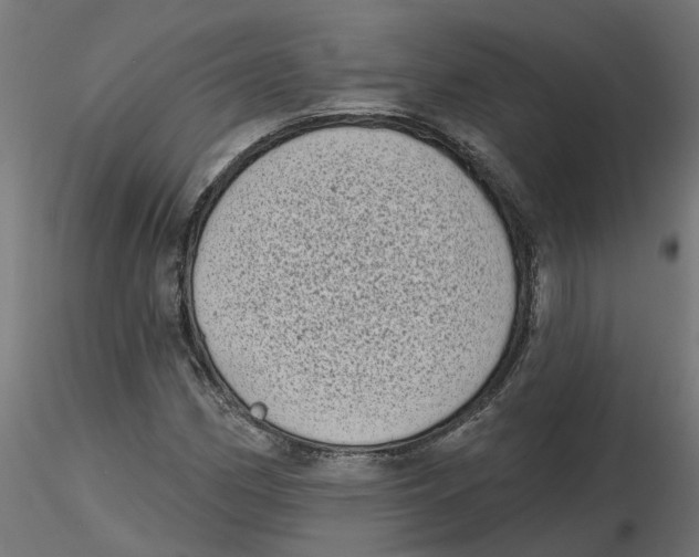 X0000116771162201001071210