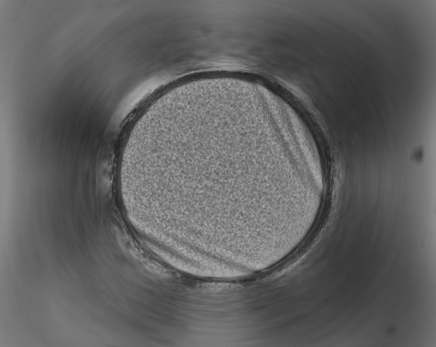 X0000116771163201001071210