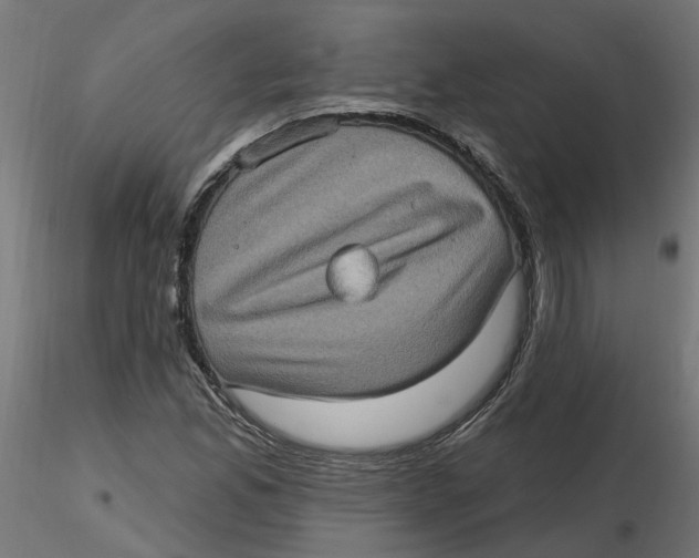 X0000116771165201001071210