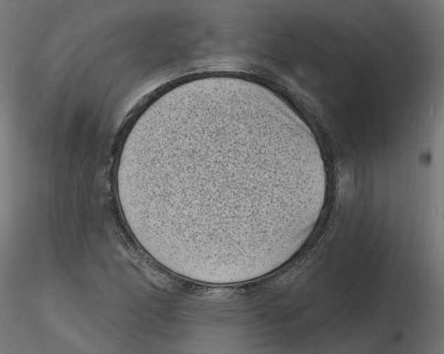 X0000116771166201001071210