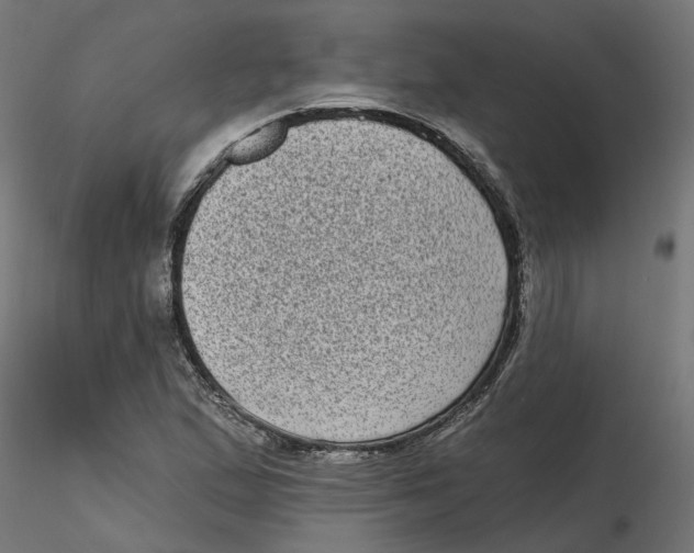 X0000116771167201001071210