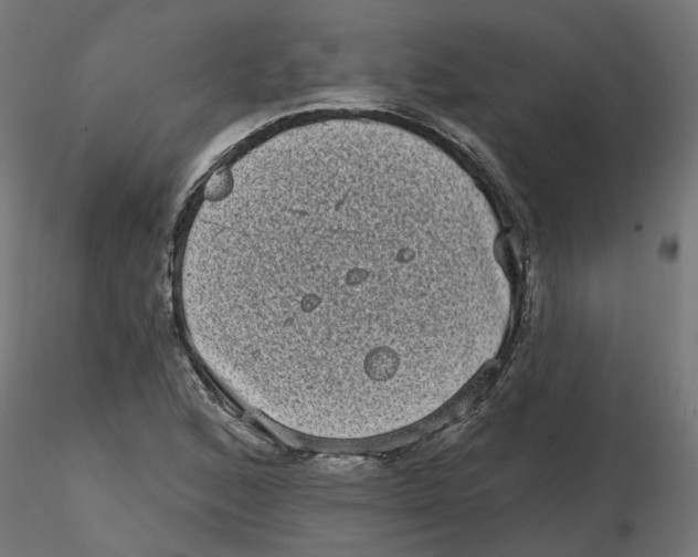 X0000116771168201001071210