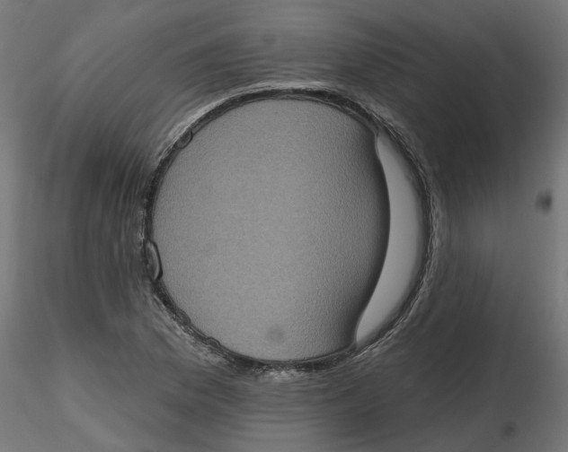 X0000116771169201001071210