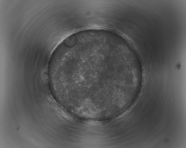 X0000116771170201001071210