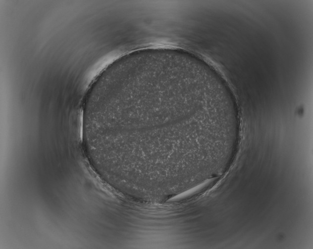 X0000116771171201001071210