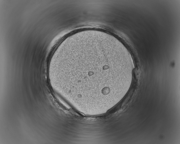 X0000116771172201001071210