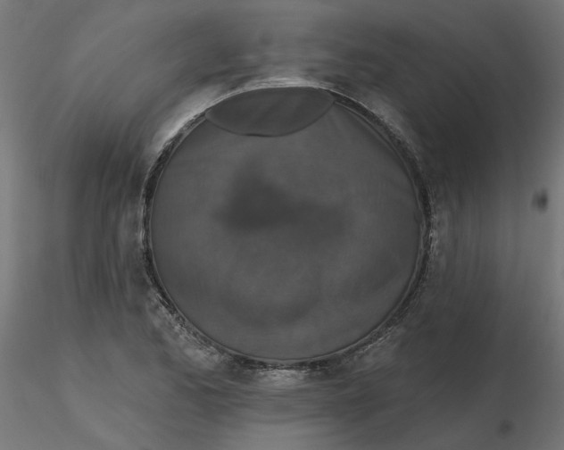 X0000116771173201001071210