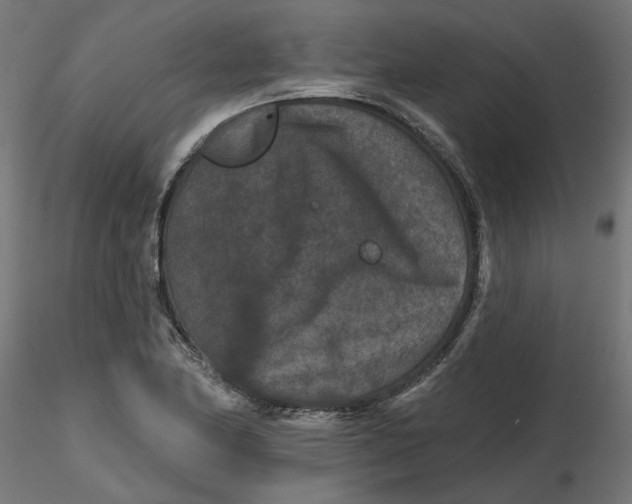 X0000116771174201001071210