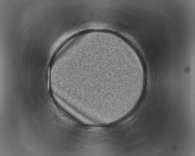 X0000116771175201001071210