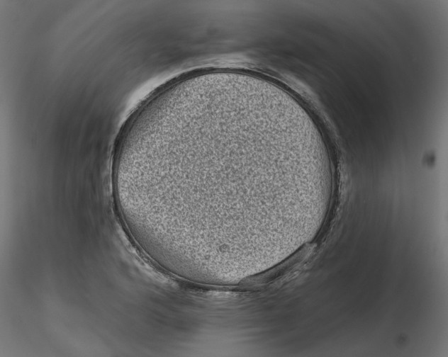 X0000116771176201001071210