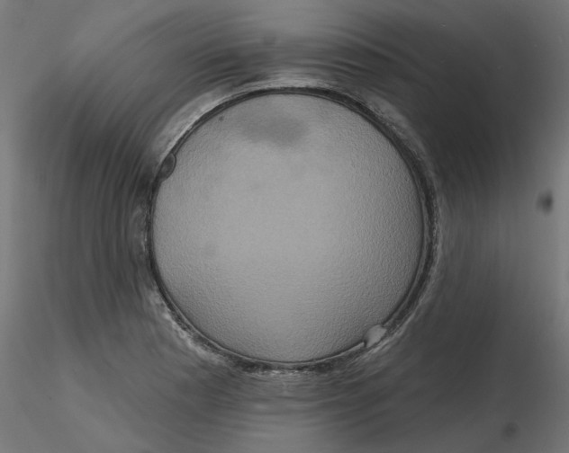 X0000116771177201001071210