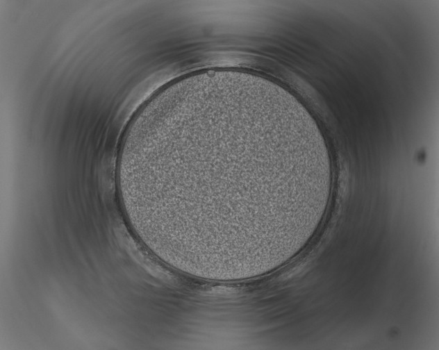 X0000116771178201001071210