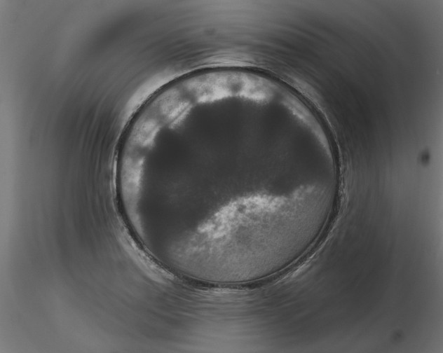 X0000116771179201001071210