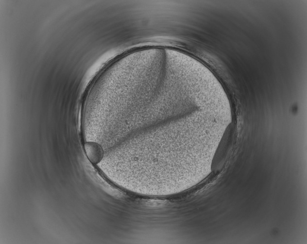 X0000116771180201001071210