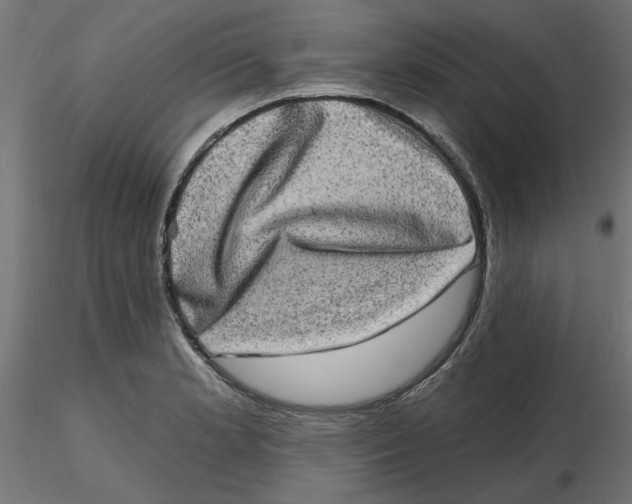 X0000116771181201001071210