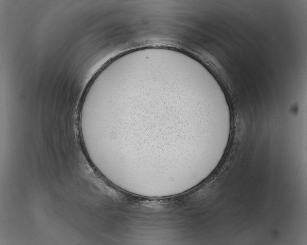 X0000116771182201001071210