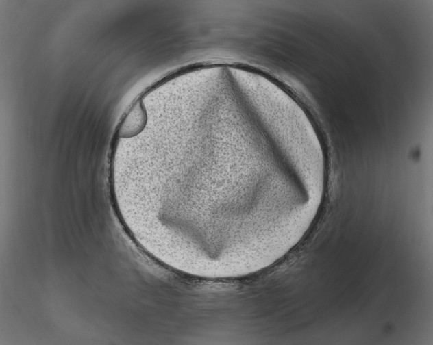 X0000116771183201001071210